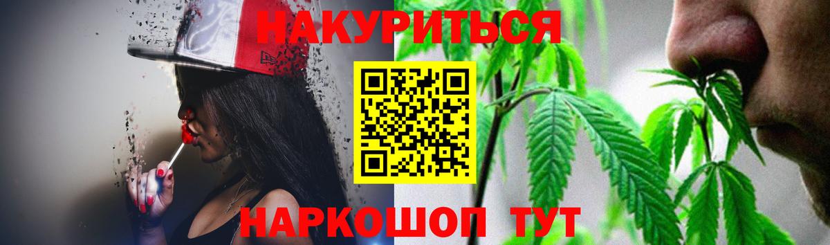 Нововоронеж  Бошки марихуана план  Вход с VPN  Марихуана OG Kush  Конопля Bruce Banner 